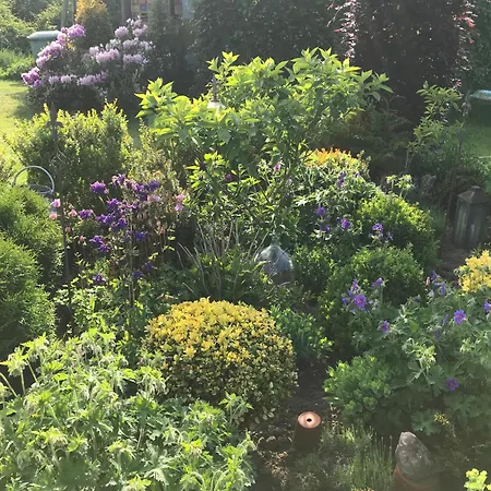 Klast F51 Ostseebad Kühlungsborn